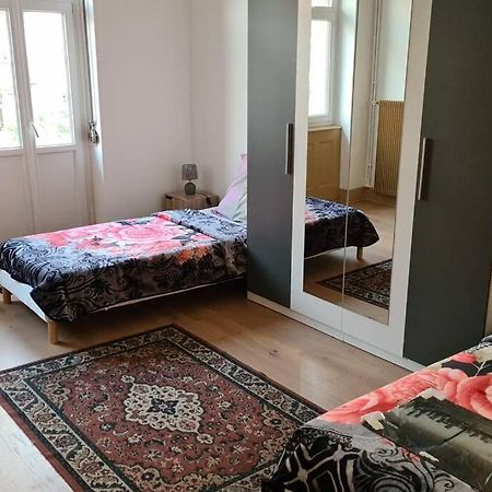 Grand 4P Strasbourg Orangerie 7 Personnes Proche D Allemagne エクステリア 写真
