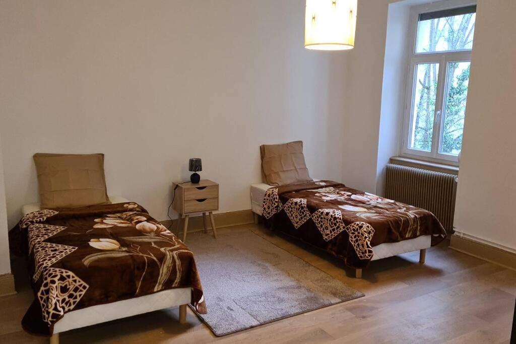 Grand 4P Strasbourg Orangerie 7 Personnes Proche D Allemagne エクステリア 写真