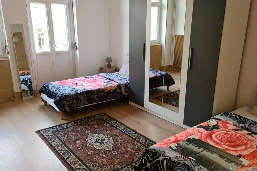 Grand 4P Strasbourg Orangerie 7 Personnes Proche D Allemagne エクステリア 写真