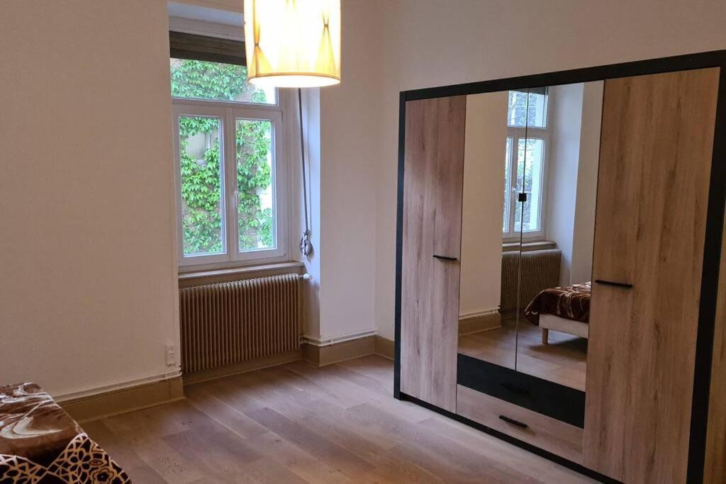 Grand 4P Strasbourg Orangerie 7 Personnes Proche D Allemagne エクステリア 写真